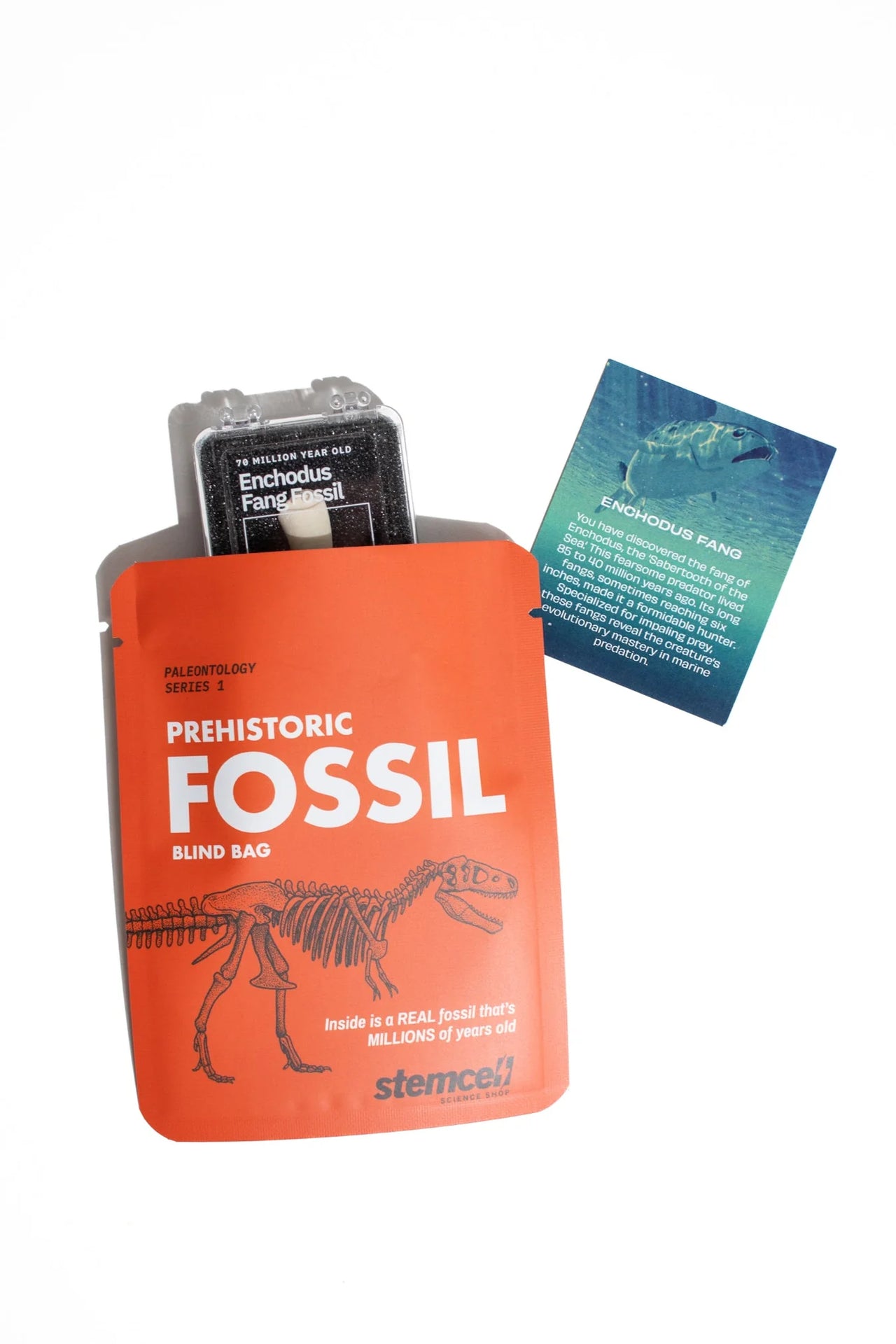 FOSSIL BLIND BAG